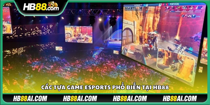 Những tựa game được cược nhiều nhất trên HB88