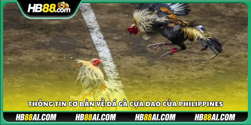 Thông tin cơ bản về đá gà cựa dao của Philippines