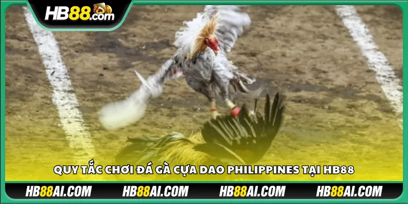 Quy tắc chơi đá gà cựa dao Philippines tại HB88