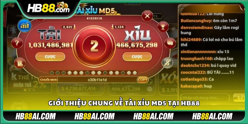 Tổng quan về trò chơi tài xỉu MD5 trên nền tảng HB88