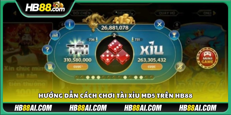 Cách đặt cược và đọc kết quả trong tài xỉu MD5