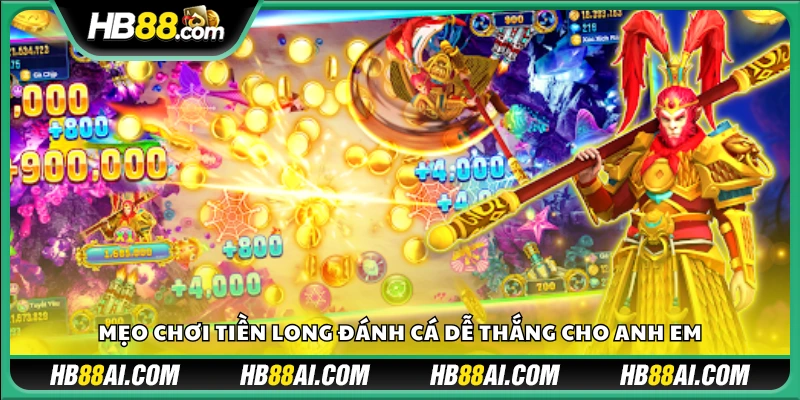 Kinh nghiệm săn rồng vàng và gom xu hiệu quả