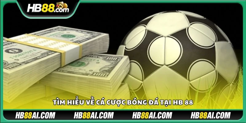Tìm hiểu về cá cược bóng đá tại HB 88