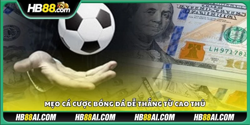 Mẹo cá cược bóng đá dễ thắng từ cao thủ