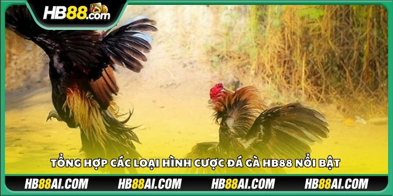 Tổng hợp các loại hình cược đá gà HB88 nổi bật