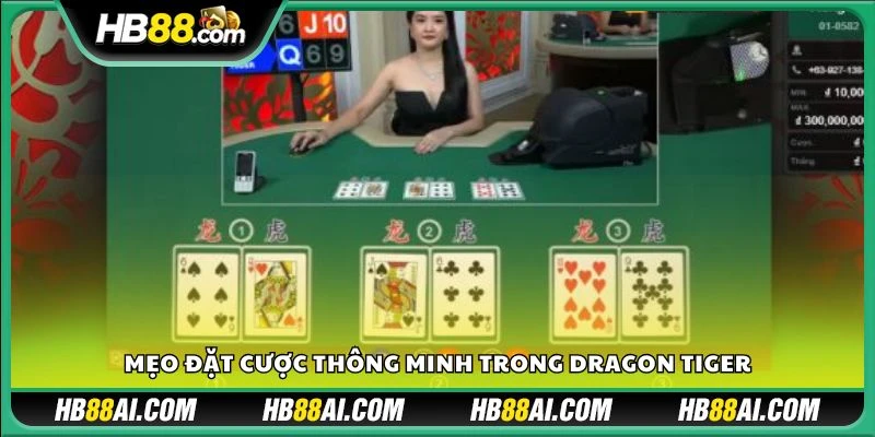 Mẹo đặt cược thông minh trong dragon tiger