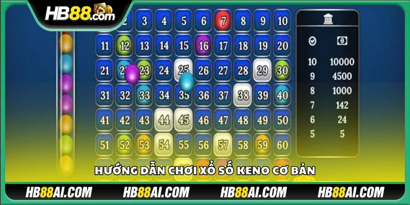 Hướng dẫn chơi xổ số Keno cơ bản