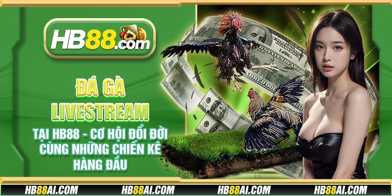 Đá gà livestream tại HB88 - Cơ hội đổi đời cùng những chiến kê hàng đầu