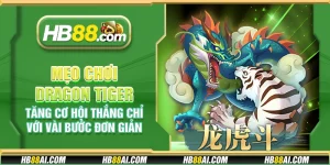 Mẹo chơi Dragon Tiger - Tăng cơ hội thắng chỉ với vài bước đơn giản