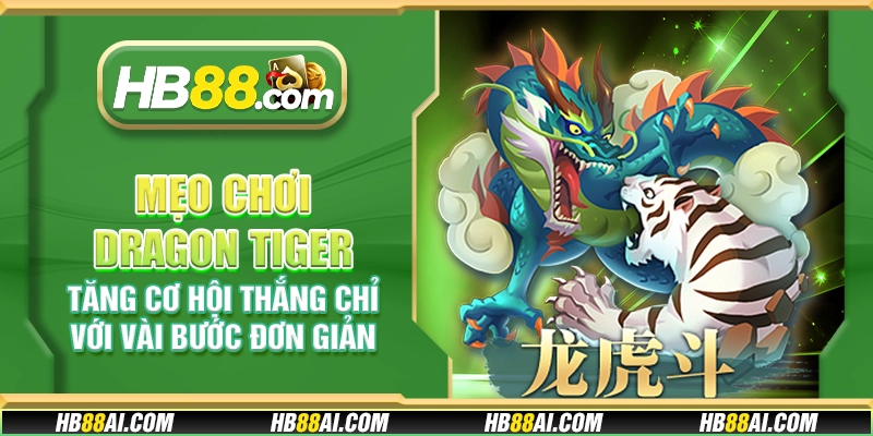 Mẹo chơi Dragon Tiger - Tăng cơ hội thắng chỉ với vài bước đơn giản