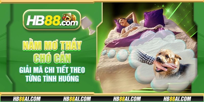 Nằm mơ thấy chó cắn - Giải mã chi tiết theo từng tình huống