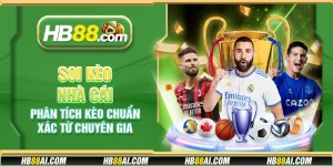 Soi kèo nhà cái - Phân tích kèo chuẩn xác từ chuyên gia