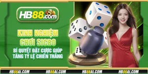 Kinh nghiệm chơi Sic Bo - Bí quyết đặt cược giúp tăng tỷ lệ chiến thắng