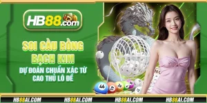 Soi cầu Rồng Bạch Kim – Dự đoán chuẩn xác từ cao thủ lô đề