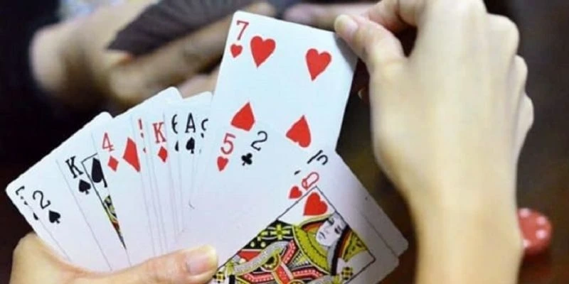 Khám phá cách dụ heo đỏ để chặt hiệu quả