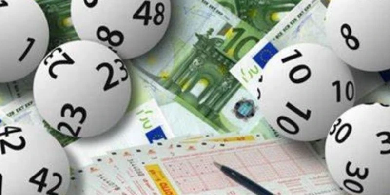 Tìm hiểu về dàn đề nuôi 2 ngày