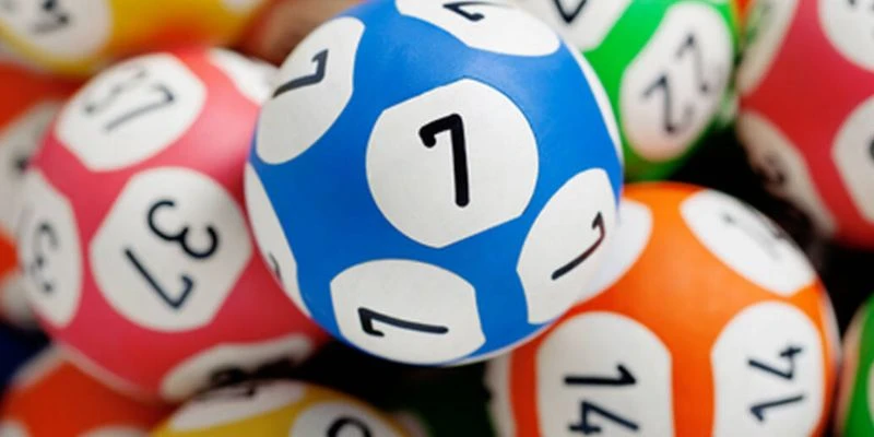 Mẹo nuôi dàn đề 2 ngày từ cao thủ