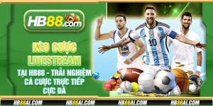 Kèo cược livestream tại HB88 - Trải nghiệm cá cược trực tiếp cực đã
