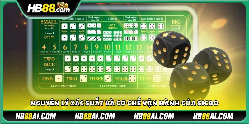Nguyên lý xác suất và cơ chế vận hành của Sicbo