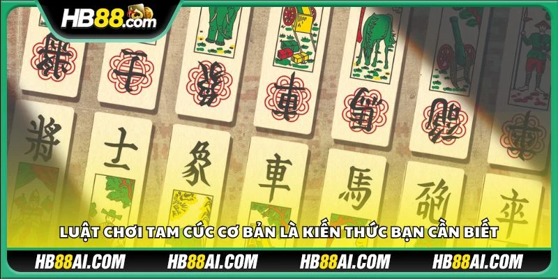 Luật chơi Tam Cúc cơ bản là kiến thức bạn cần biết