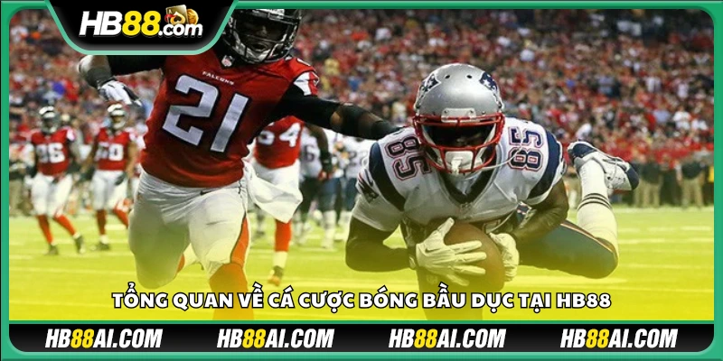Sơ lược về cá cược bóng bầu dục trên Hb88