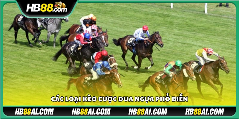 Những hình thức kèo đua ngựa được ưa chuộng