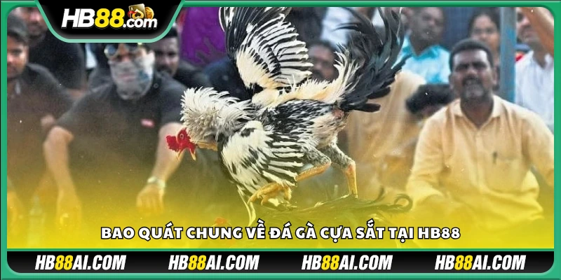 Bao quát chung về đá gà cựa sắt tại Hb 88