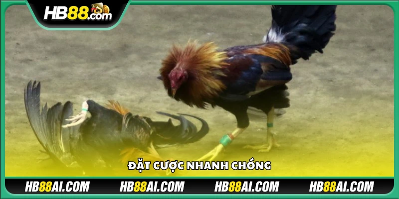 Thao tác cược đơn giản và thuận tiện